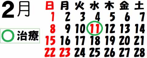 治療日カレンダー2月