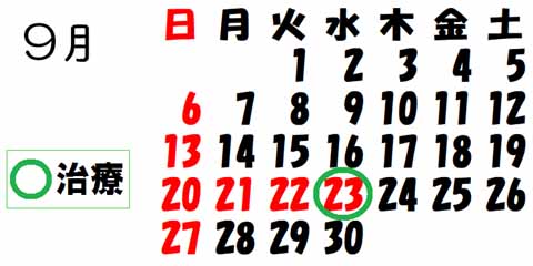 治療日カレンダー9月