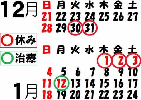 治療日カレンダー12月、1月