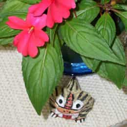 沖縄のシーサー君